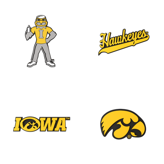 Budz | Iowa Hawkeyes | 4-Pack Bundle
